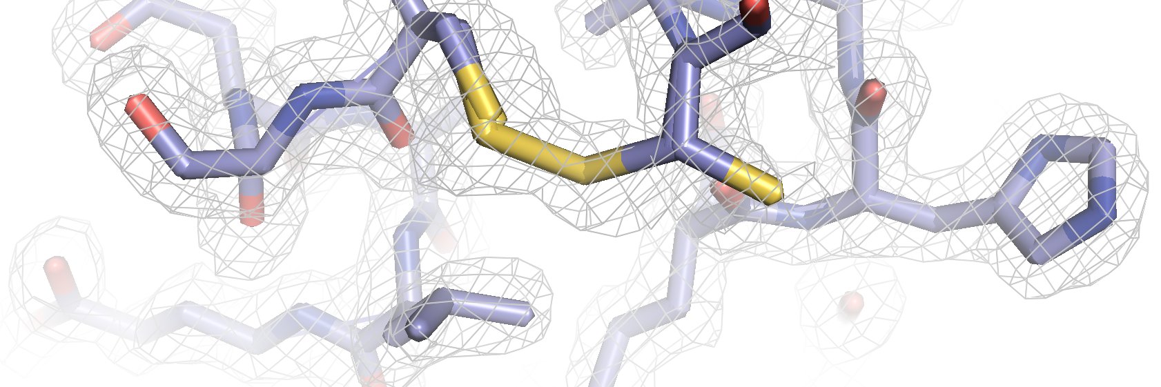 Karen C. Glass, PhD banner