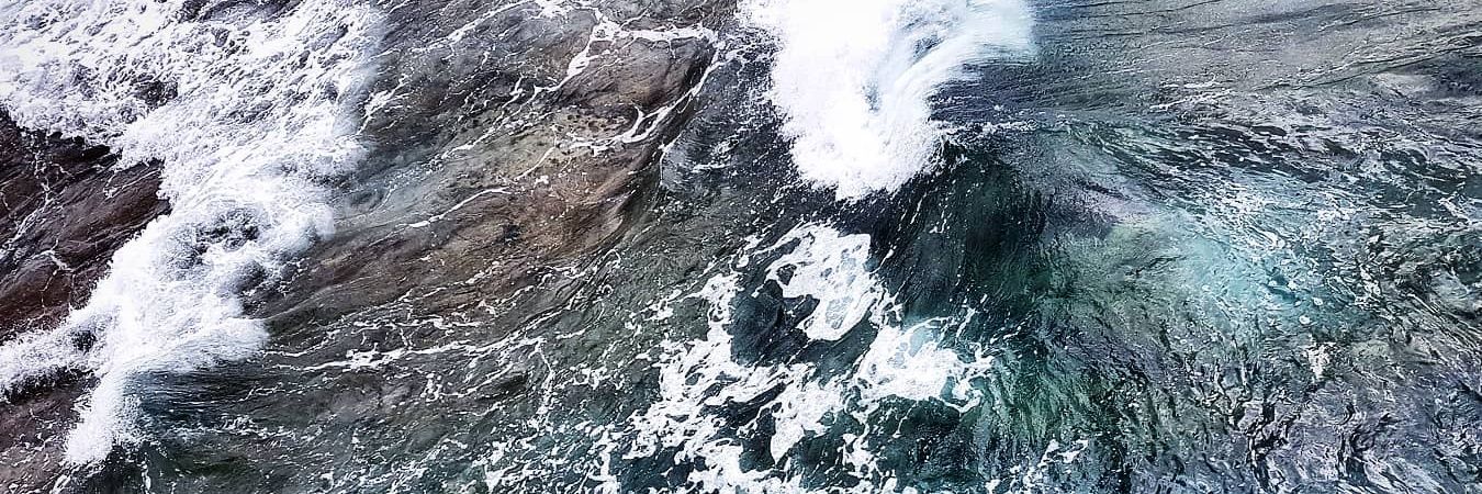 Rebecca Ferrier banner