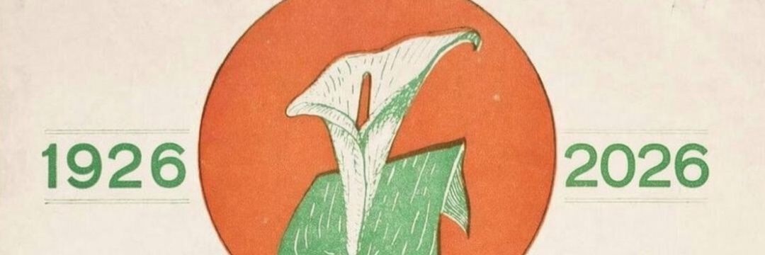 Easter Rising 1916 banner