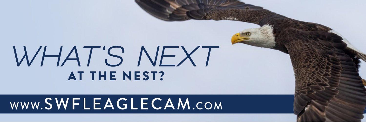 SWFL Eagle Cam banner