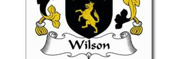 WilsonFc00's profile banner image