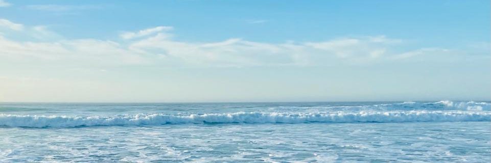 MPCassignard's profile banner image