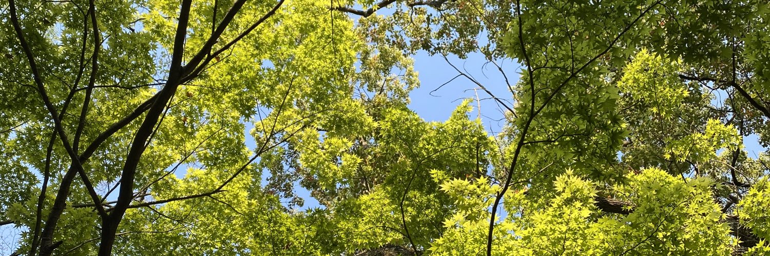 Yuko (優子) banner