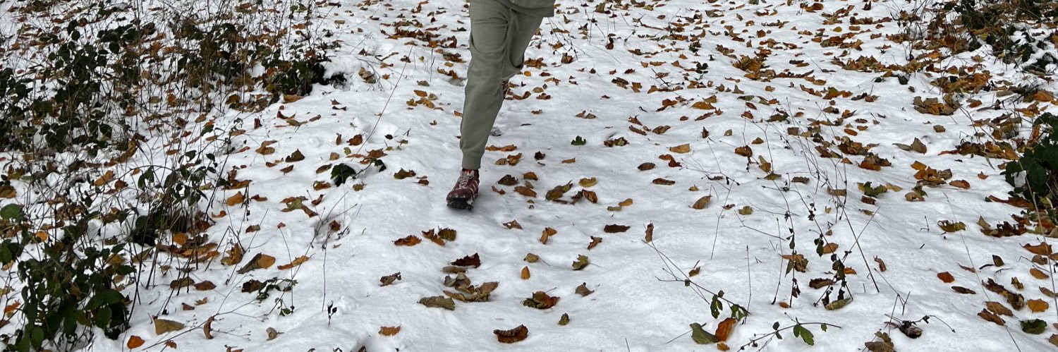 gianluca giorgi banner