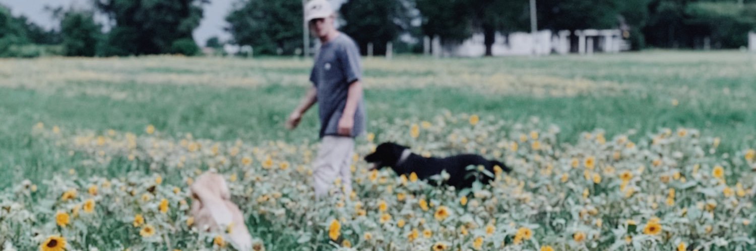 abrooke4's profile banner image