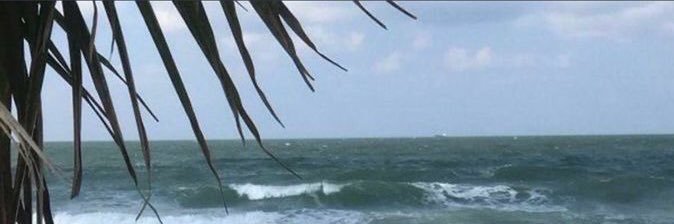 nllm_7's profile banner image