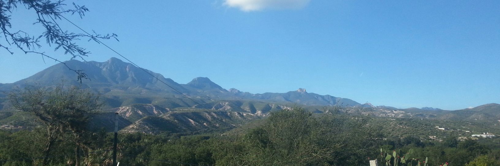 Bread binch 🍉 banner