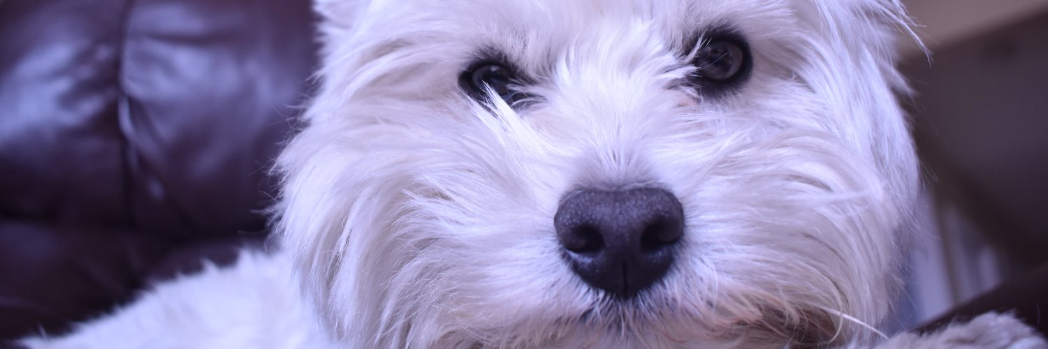 Kristy_Jones94's profile banner image