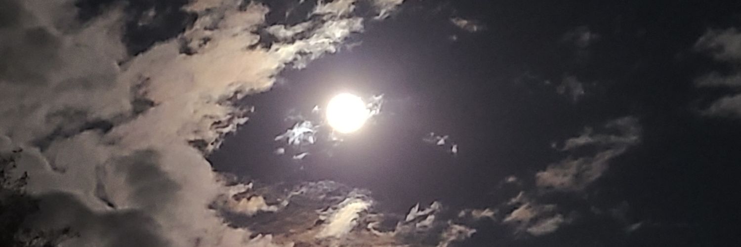 rainorrian's profile banner image