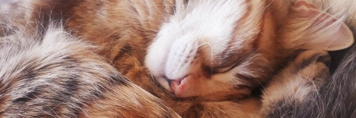 DLNshine's profile banner image