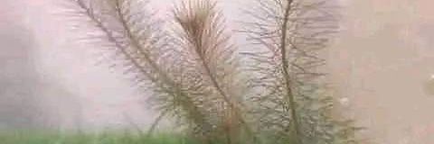 dannybaker75's profile banner image