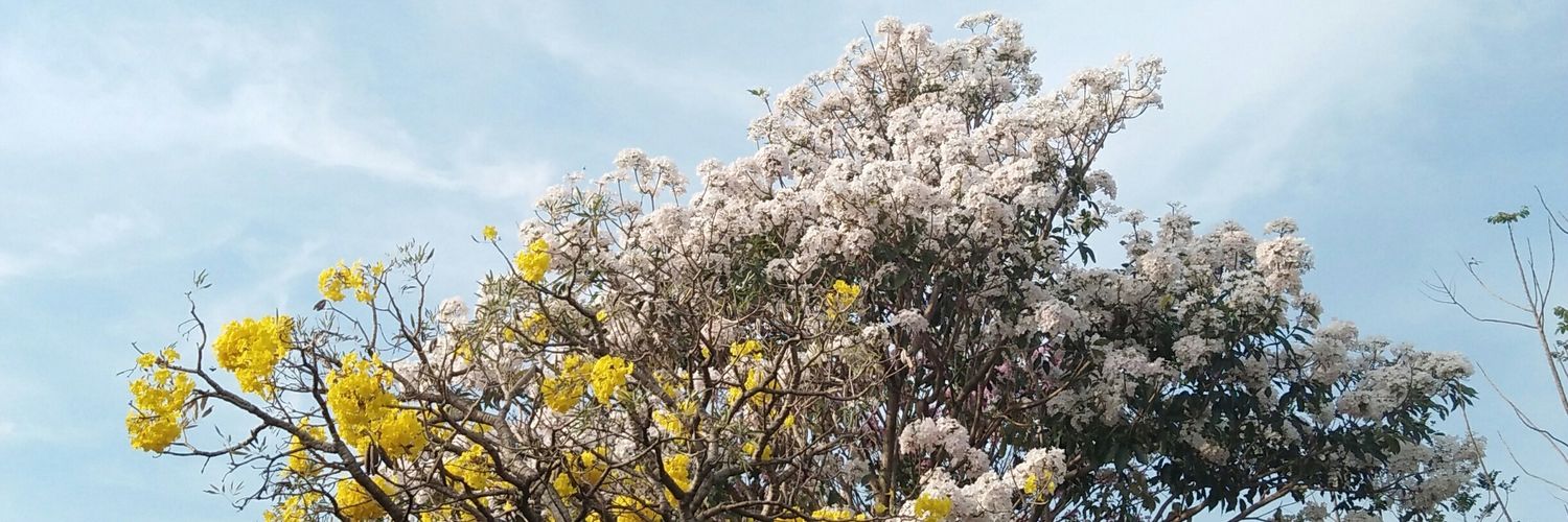 nifynelly's profile banner image