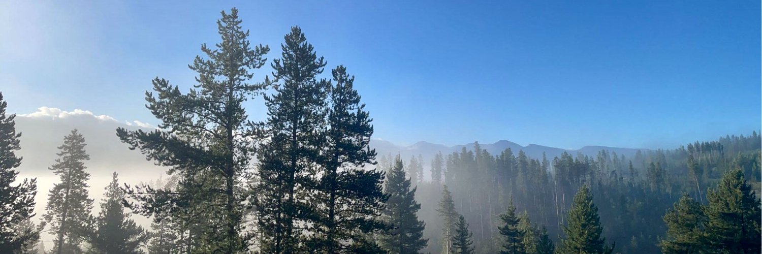 annapetr01's profile banner image