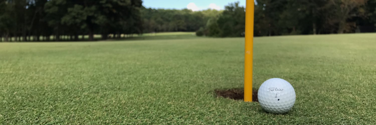 ChopticonGolf's profile banner image