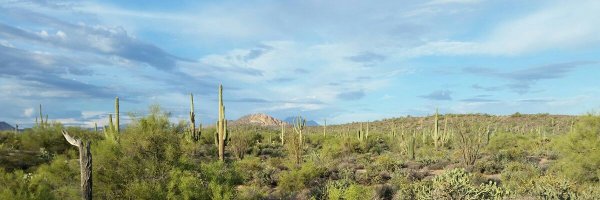 rus787 Profile Banner