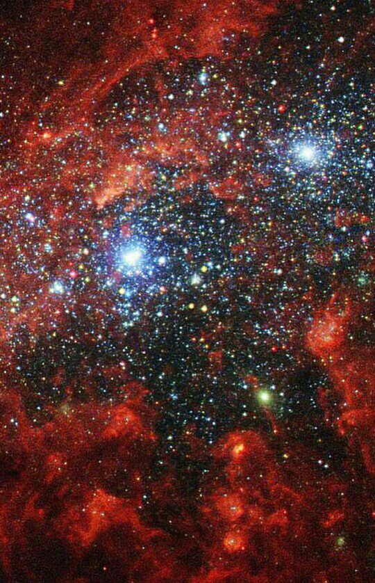 chejo bichejo banner