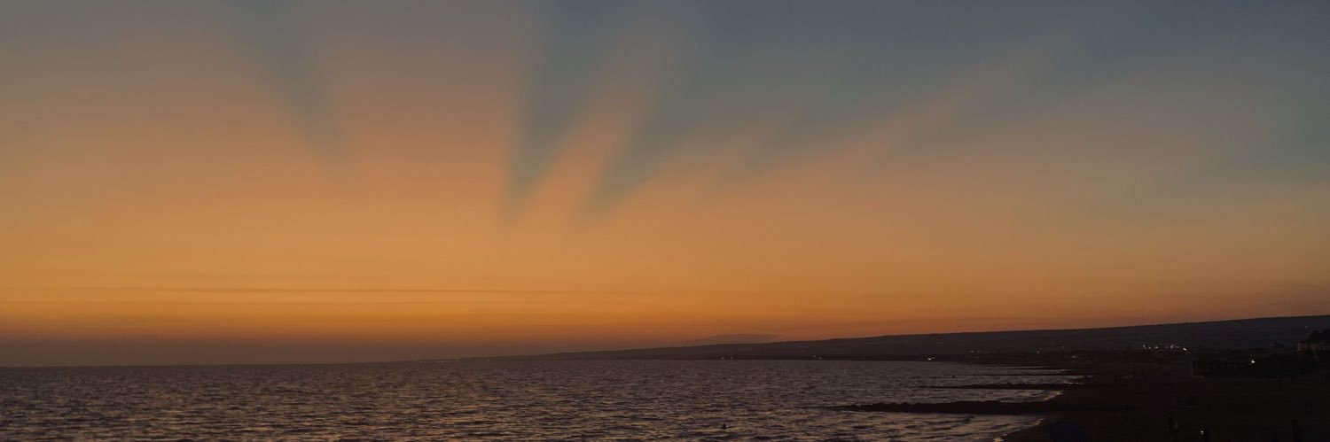 juliapalear's profile banner image