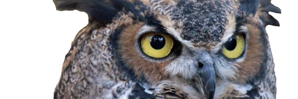 toffalford Profile Banner