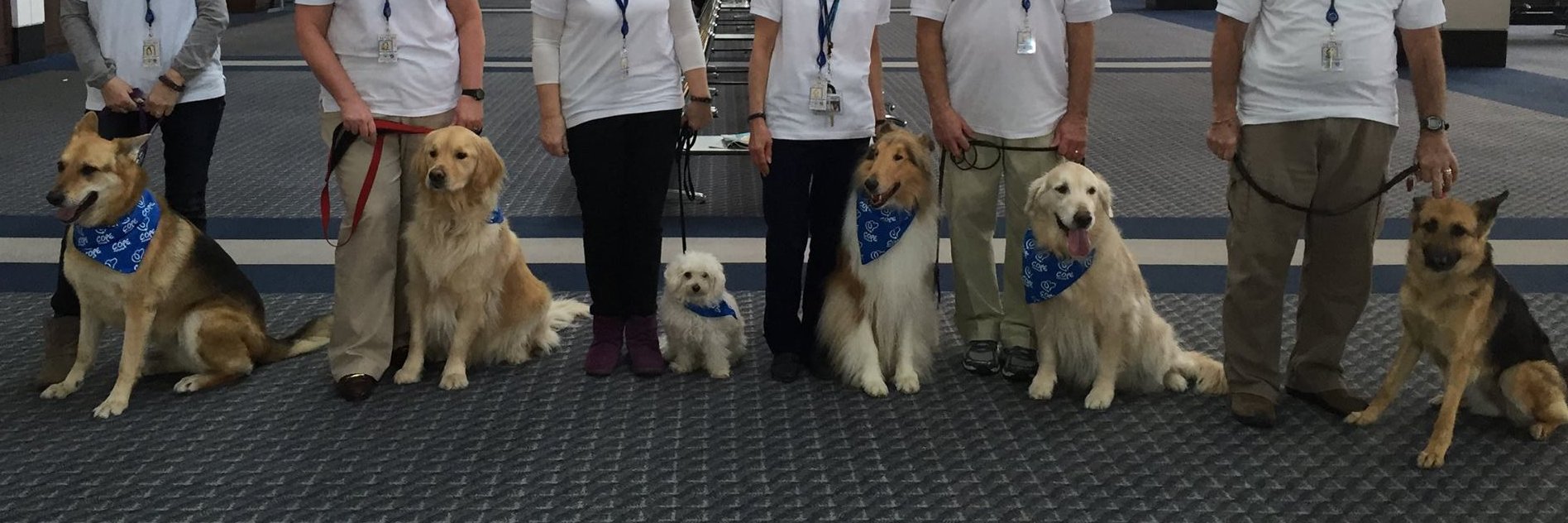 LV Therapy Dogs banner
