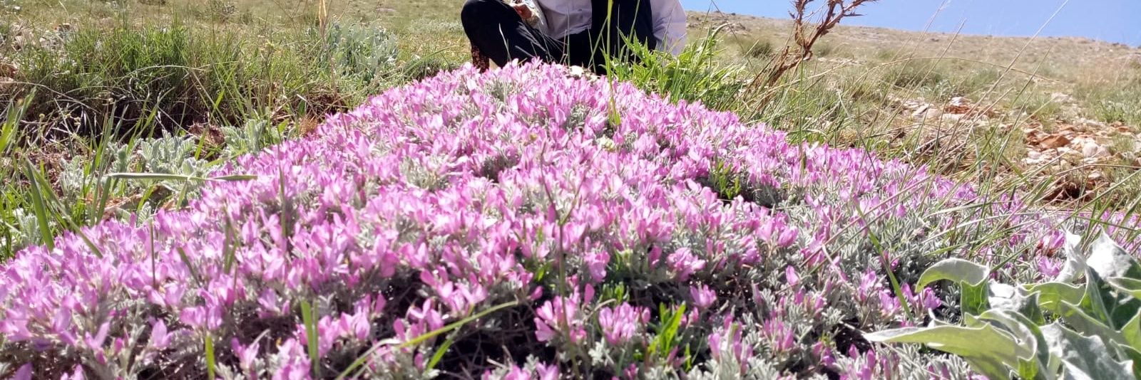 Ercan Sönmez banner