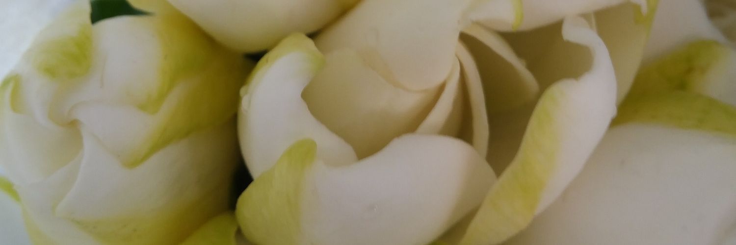 FiorellaFava's profile banner image