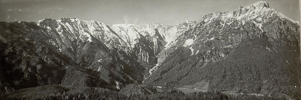 Michela Faccioli banner