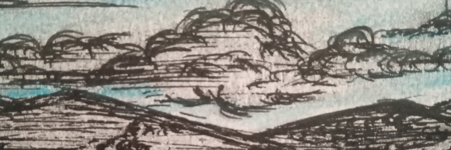 MiriamHv2's profile banner image