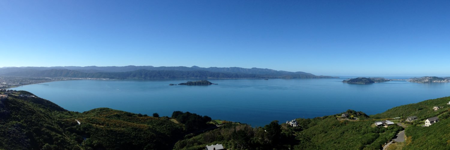 Newlands Intermediate banner
