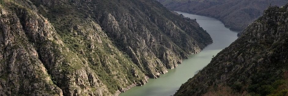 Soledad Pa Dorrego.🇪🇸's banner