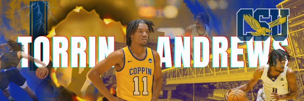 torrin_andrews Profile Banner