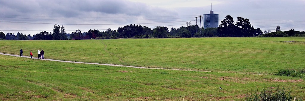 Noa Kristiansson banner