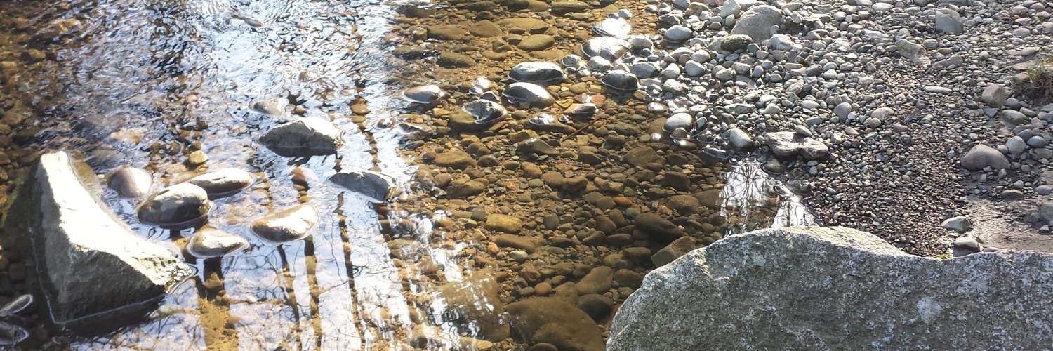 Liberty Prime banner