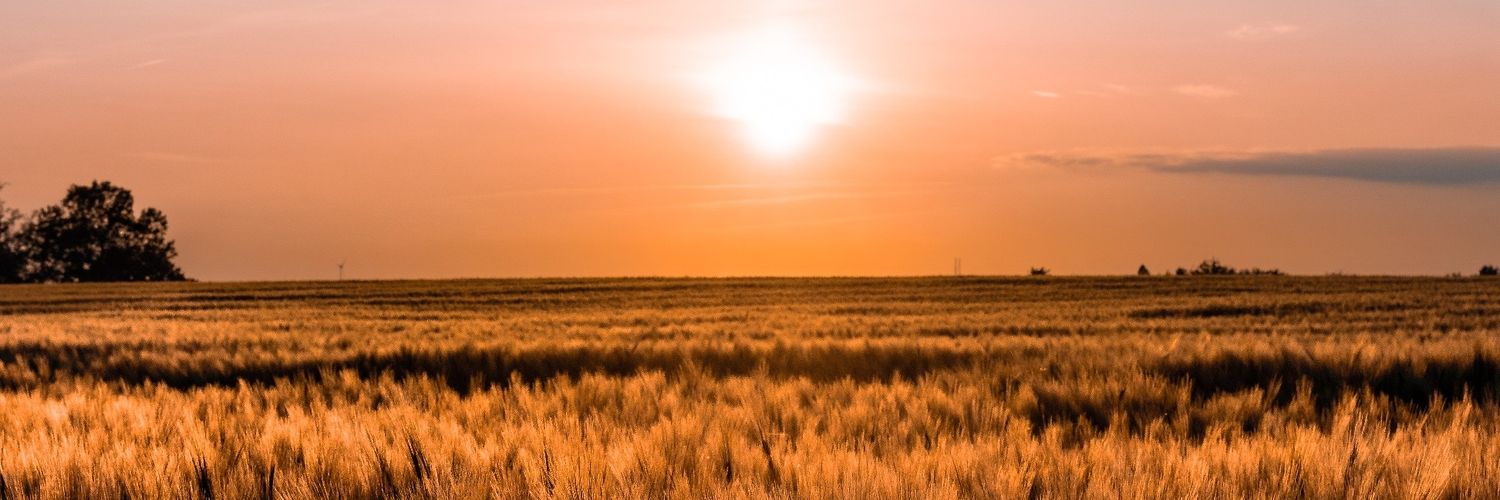 0Mitch9's profile banner image