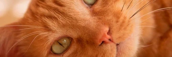Jac29057's profile banner image