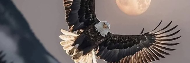 justdigerkam's profile banner image
