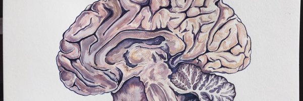 DanTrifMD Profile Banner