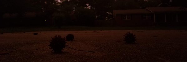 snuffk1tty Profile Banner