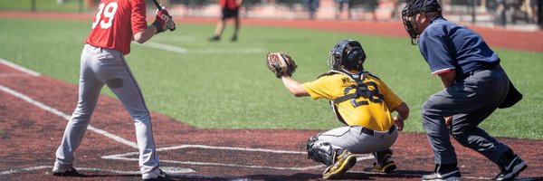 CaelWillaert Profile Banner