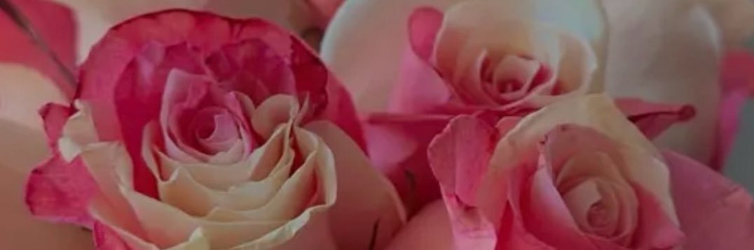 MSanchez23_'s profile banner image