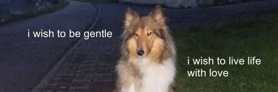 sen banner