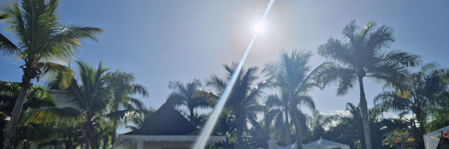 Norbertsteelez banner