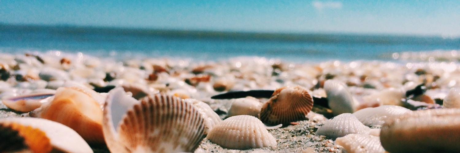 caity_corn's profile banner image