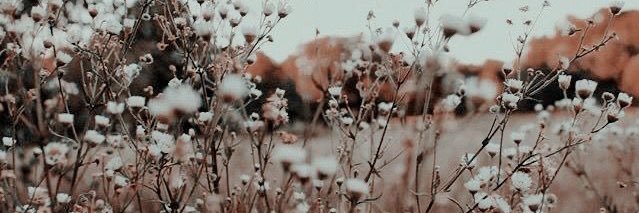 _RussellAlaina's profile banner image