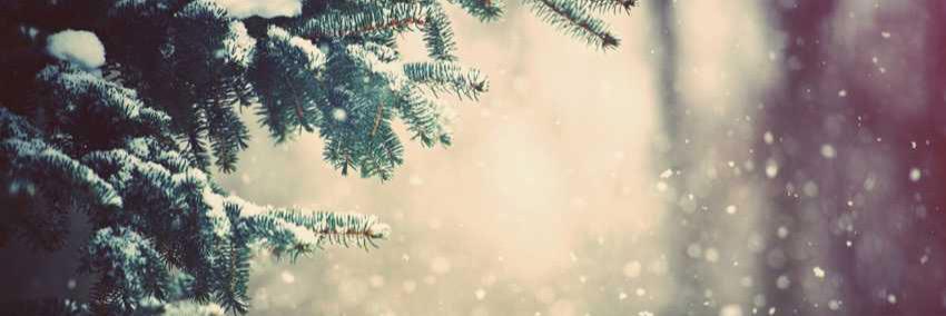 LTCC_xo's profile banner image