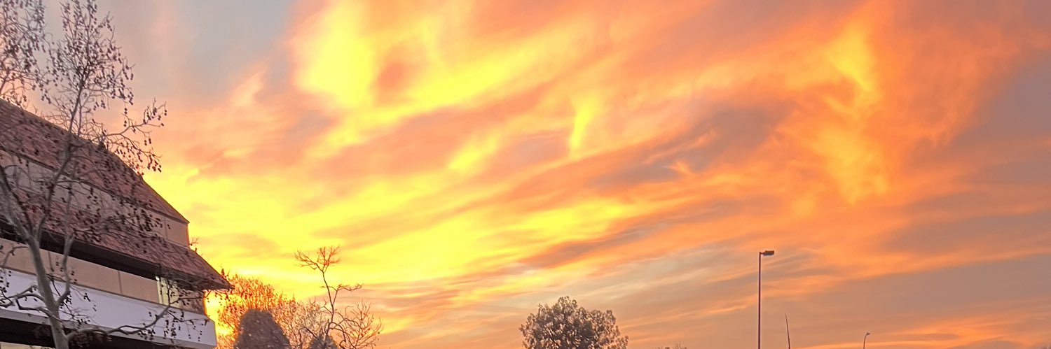 salvibrat's profile banner image