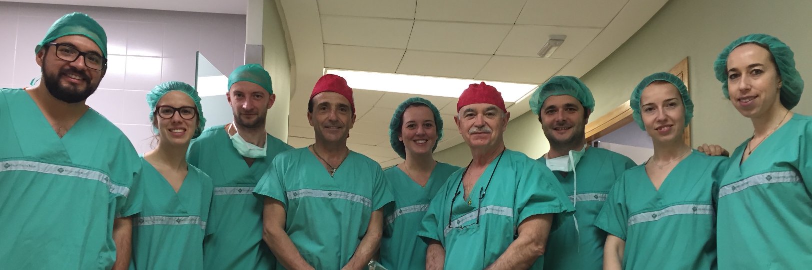 José Vicente Roig banner