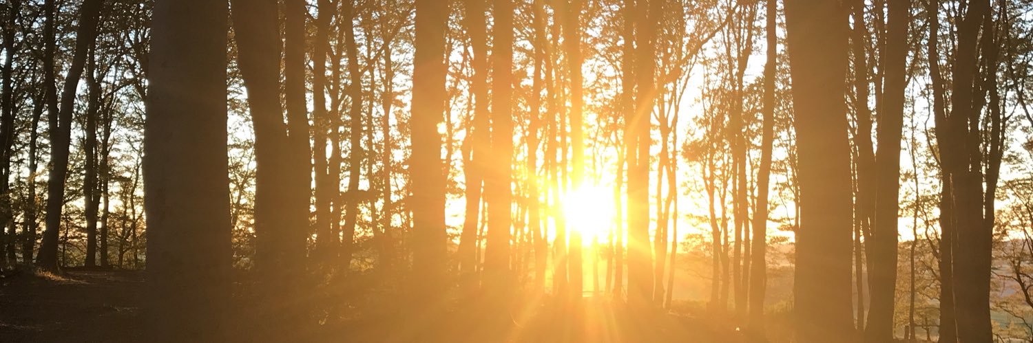 rachelmoss_'s profile banner image