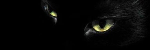 yawn_rong Profile Banner