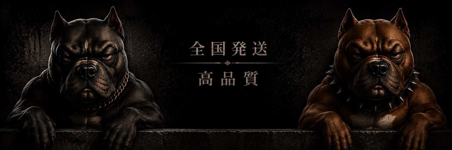 pit1main's profile banner image