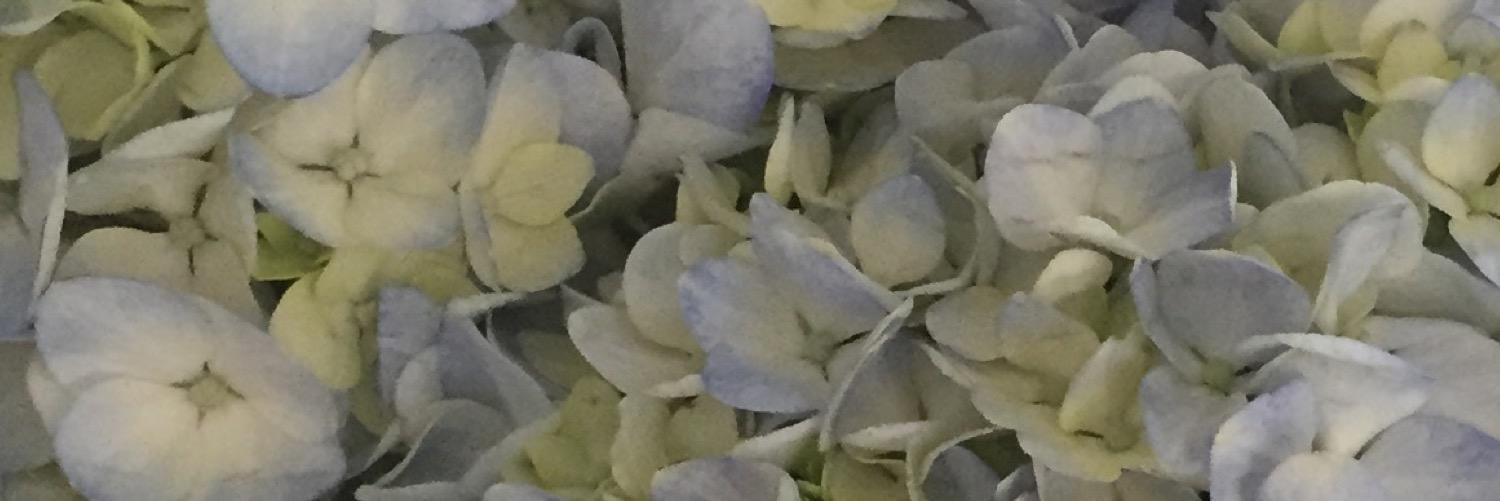 MEGARB0's profile banner image